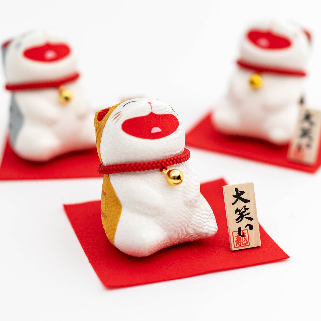 Discover the Charm of RYUKODO Washi: The Laughing Cat Series Brightens Your Life