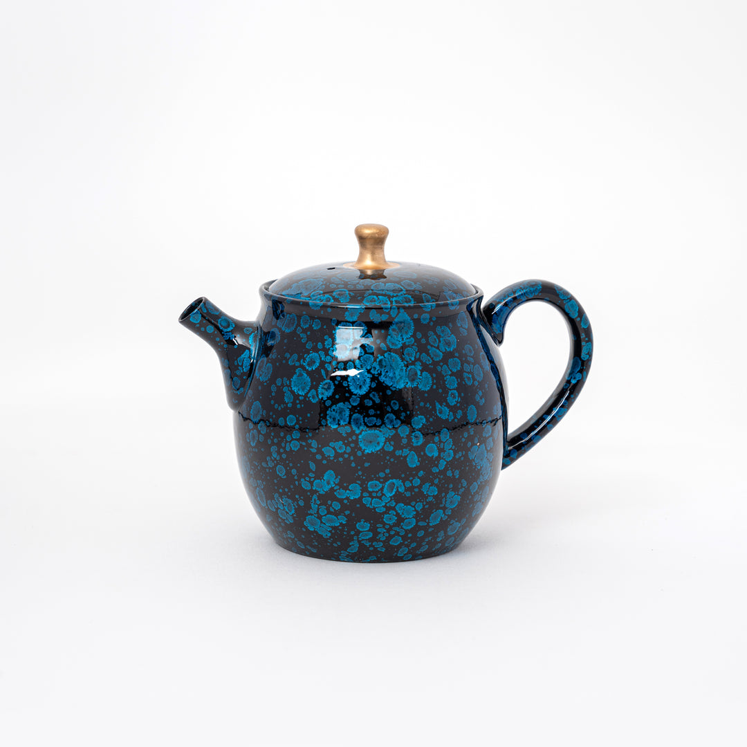 Tenmoku Teapot by Shoryu Kiln Umehara Shoji 梅原昭二