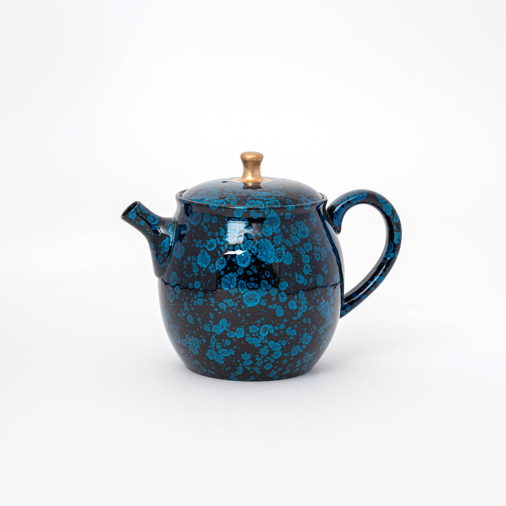 Tenmoku Teapot by Shoryu Kiln Umehara Shoji 梅原昭二