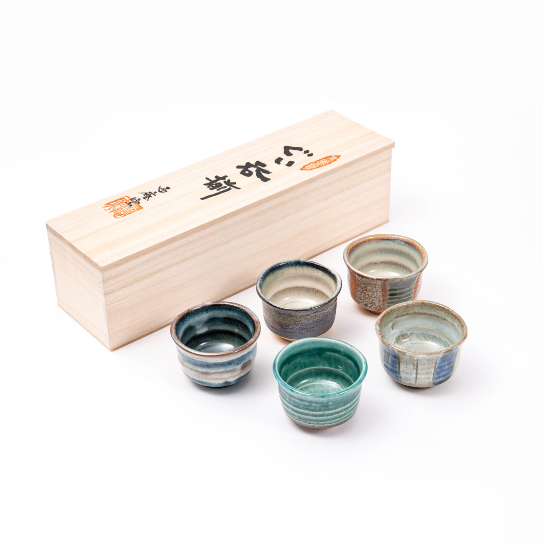 Authentic Japanese Sake Cup Set - Handmade Mino Ware 5-Piece Collection