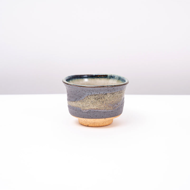 Authentic Japanese Sake Cup Set - Handmade Mino Ware 5-Piece Collection