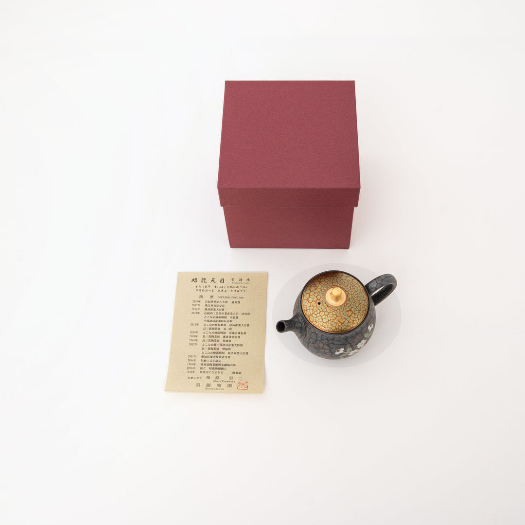 How to Choose a Japanese Kyusu Teapot: Sizes, Shapes & Filters Explained