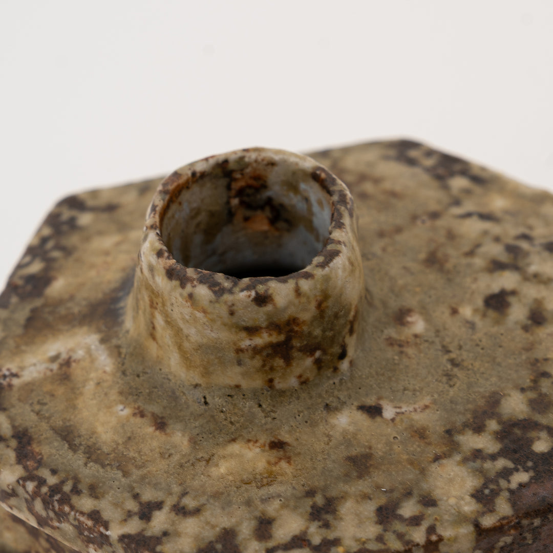 Small raised opening on mottled Shigaraki single-stem vase
