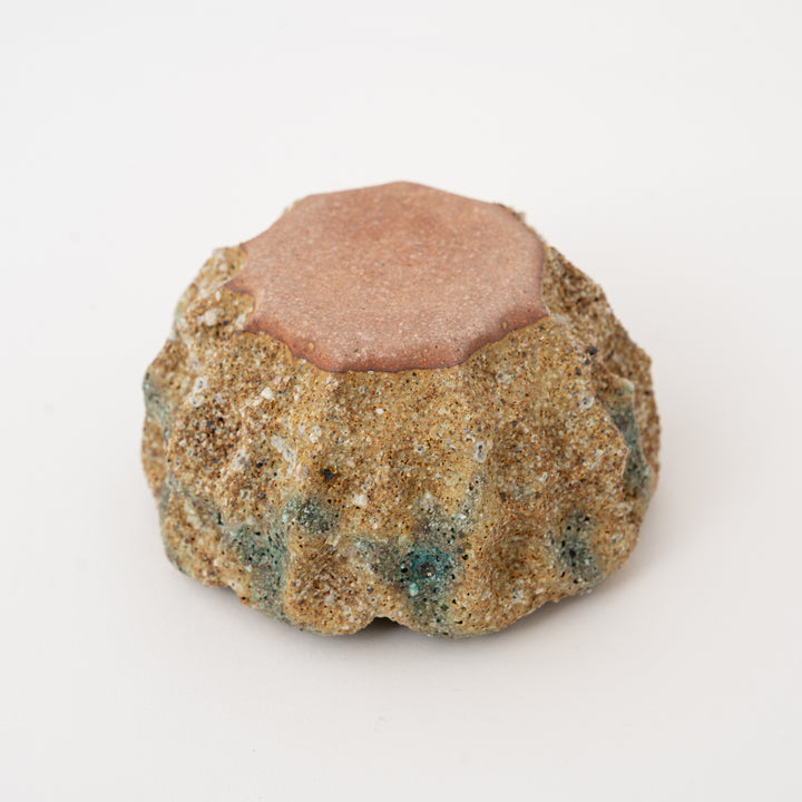 Japanese Wildflower Garden Pot – Moss Brown Rustic Ceramic