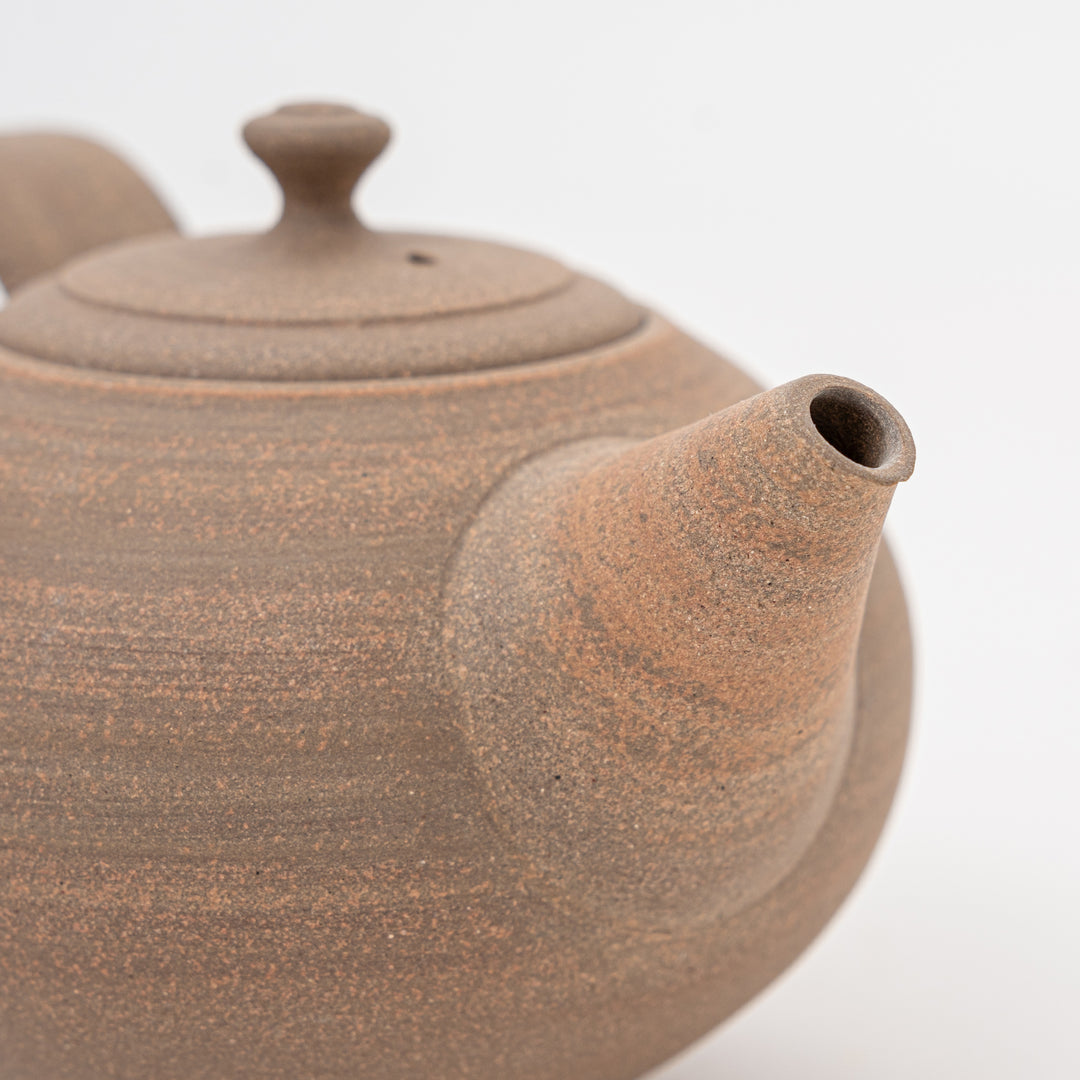 Handmade Tokoname Yakishime Teapot Set by Uchiyama Chizuko