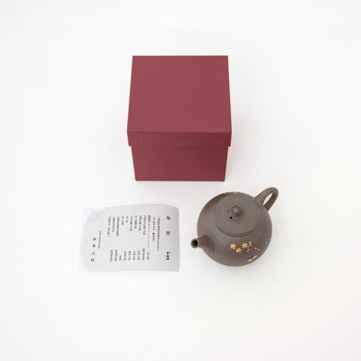 Artisan Tokoname kyusu teapot NO150 by Seiho from Japan