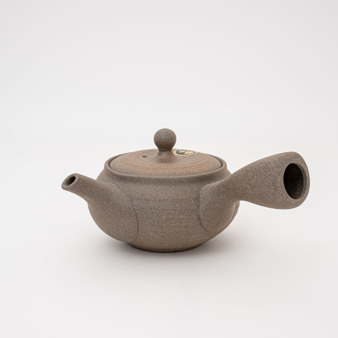 Handmade Tokoname Teapot