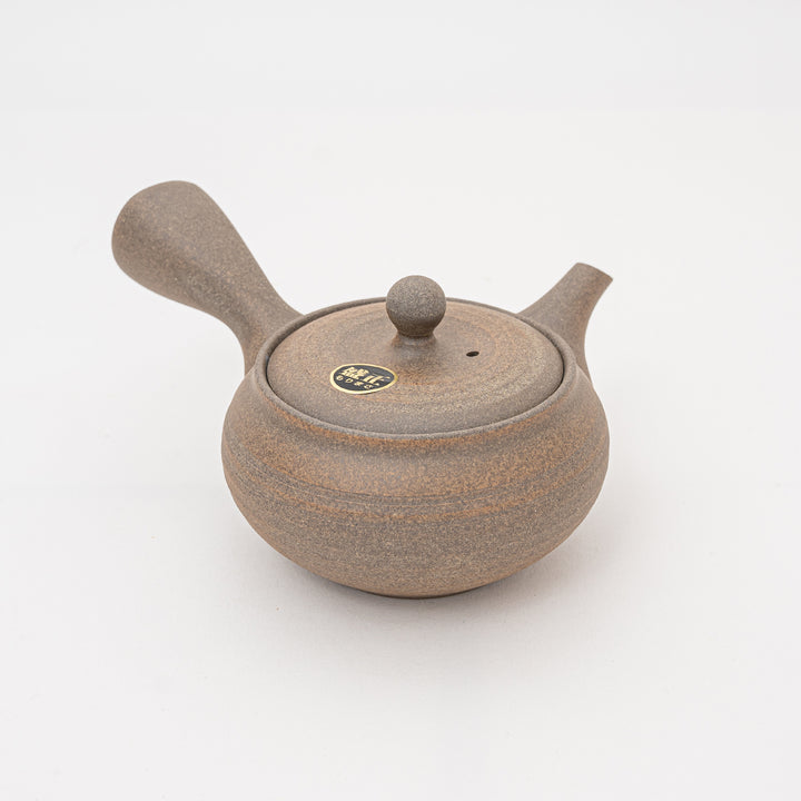 Handmade Tokoname Teapot