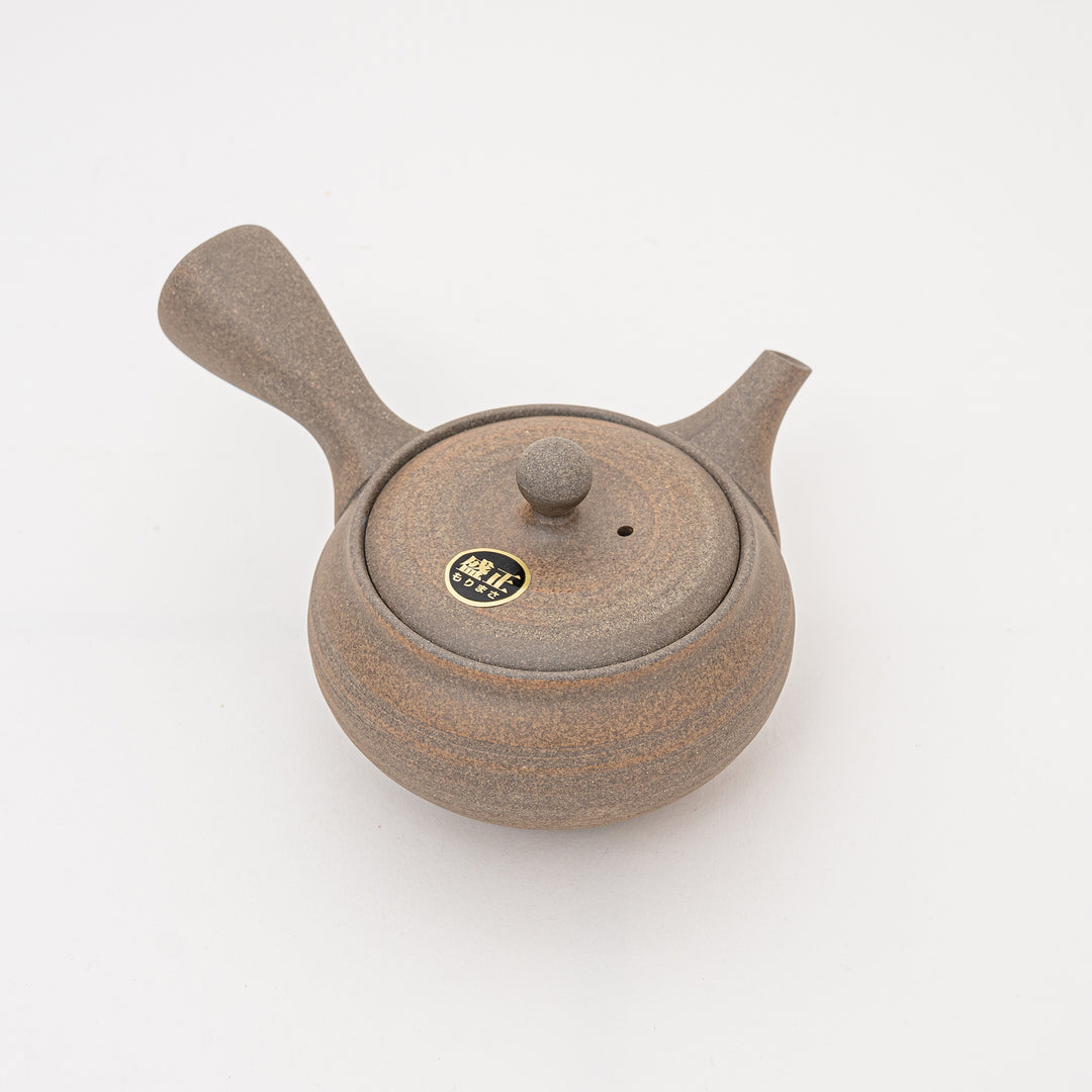 Handmade Tokoname Teapot