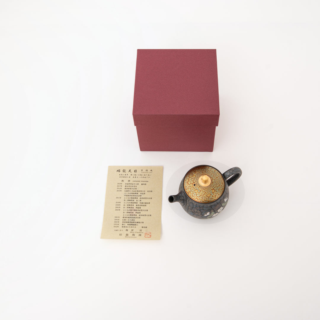 Collectible Shoryu sakura and gold lid Japanese Tokoname ware teapot