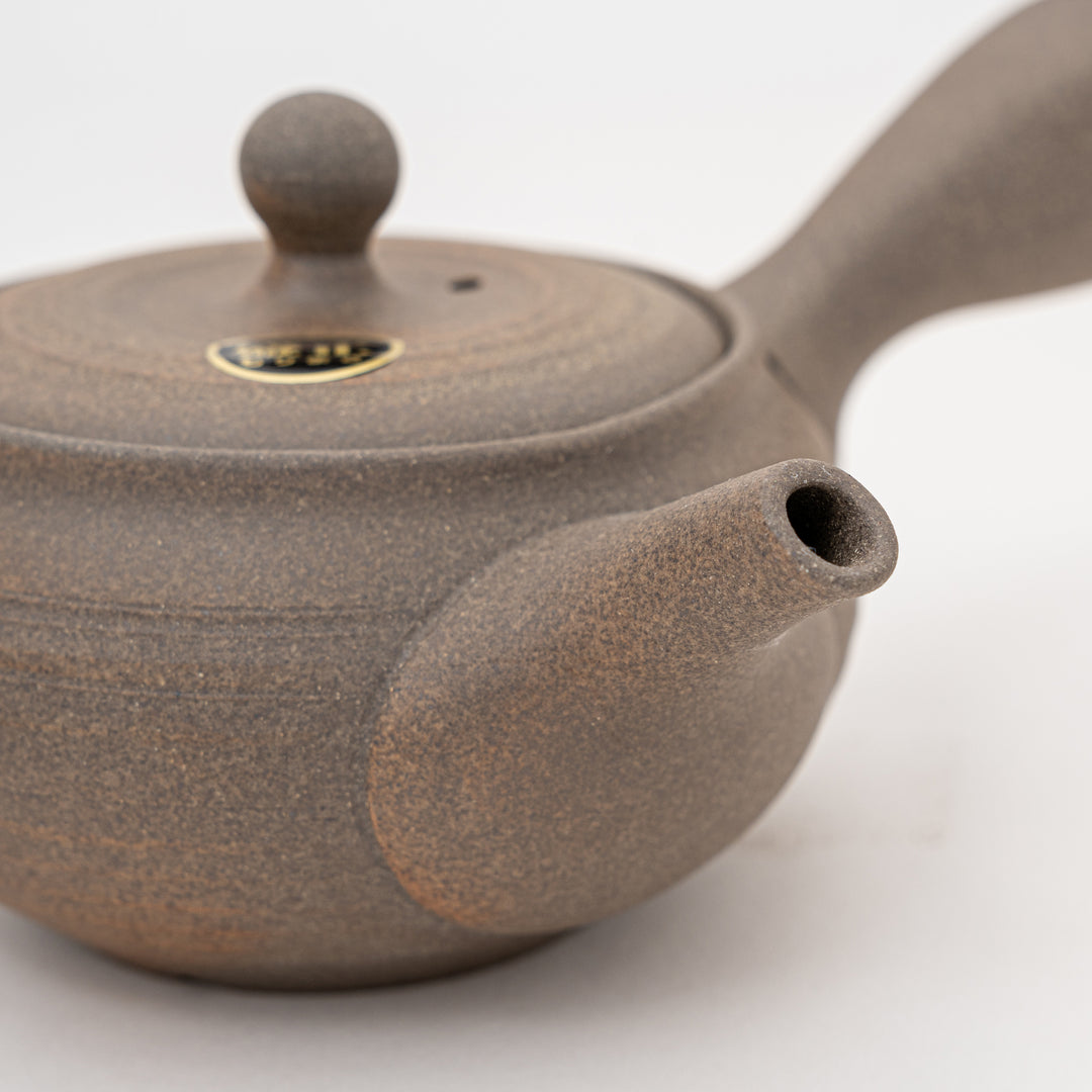 Handmade Tokoname Teapot