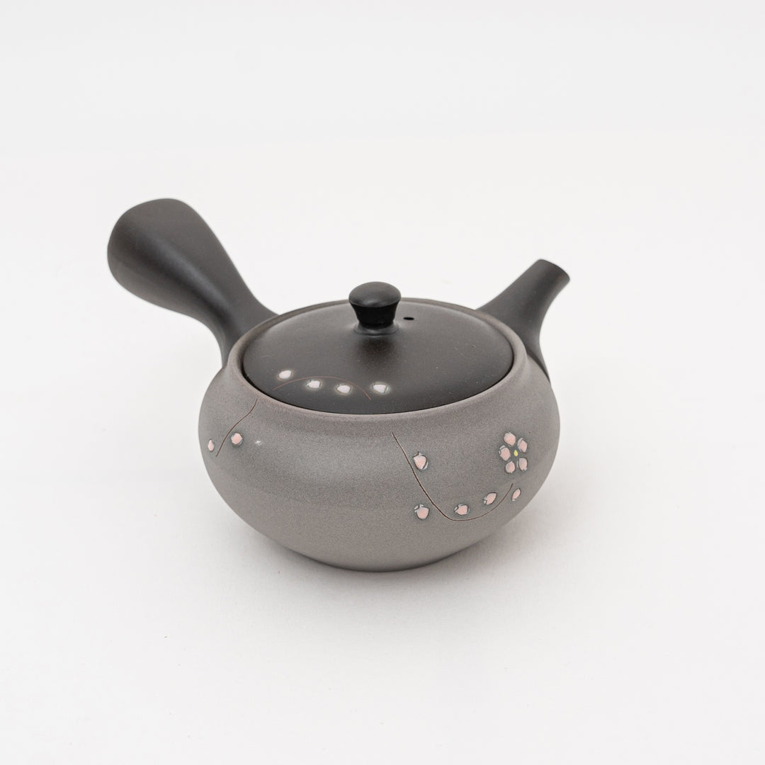 Handmade Tokoname Teapot | Gray | 310cc