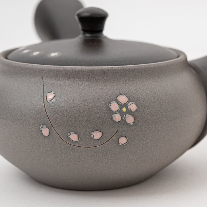 Handmade Tokoname Teapot | Gray | 310cc