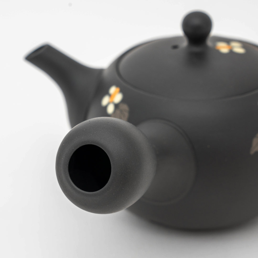 Handcrafted Tokoname Yaki Black Clay Floral Teapot - Shoho Kiln
