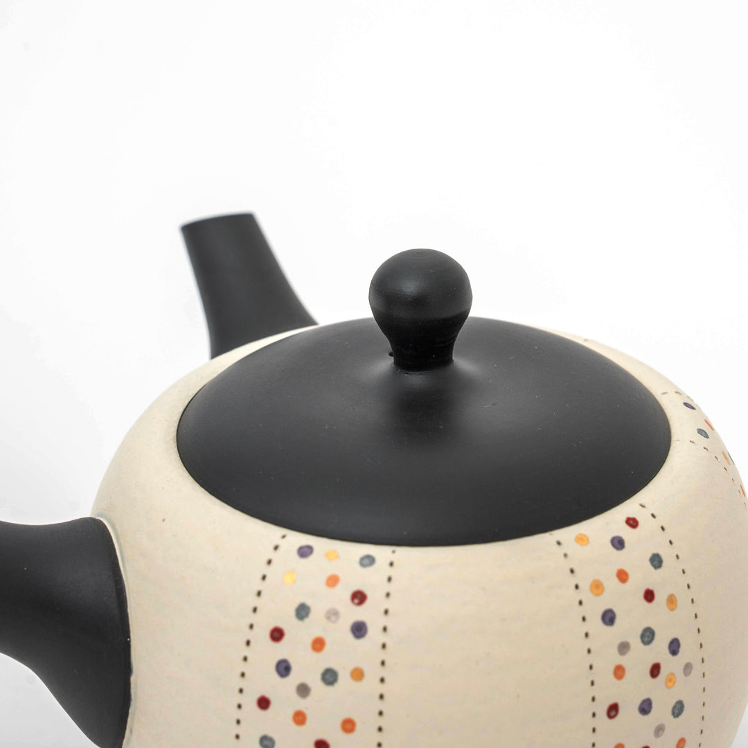 Handmade Tokoname Yaki Teapot/Japanese Kyusu - Black and White 260cc by Shoho Kiln