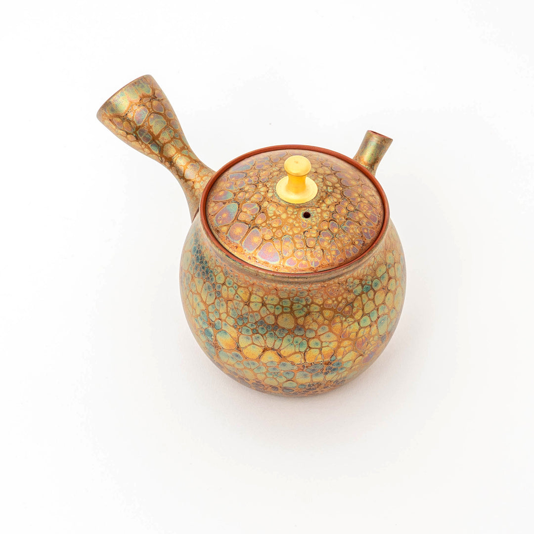 Handcrafted Tokoname Ware Kyusu/Teapot with Tenmoku Glaze by 昭龍（梅原昭二）