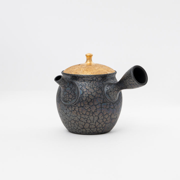 Tenmoku Cherry Blossoms Teapot By Shoryu