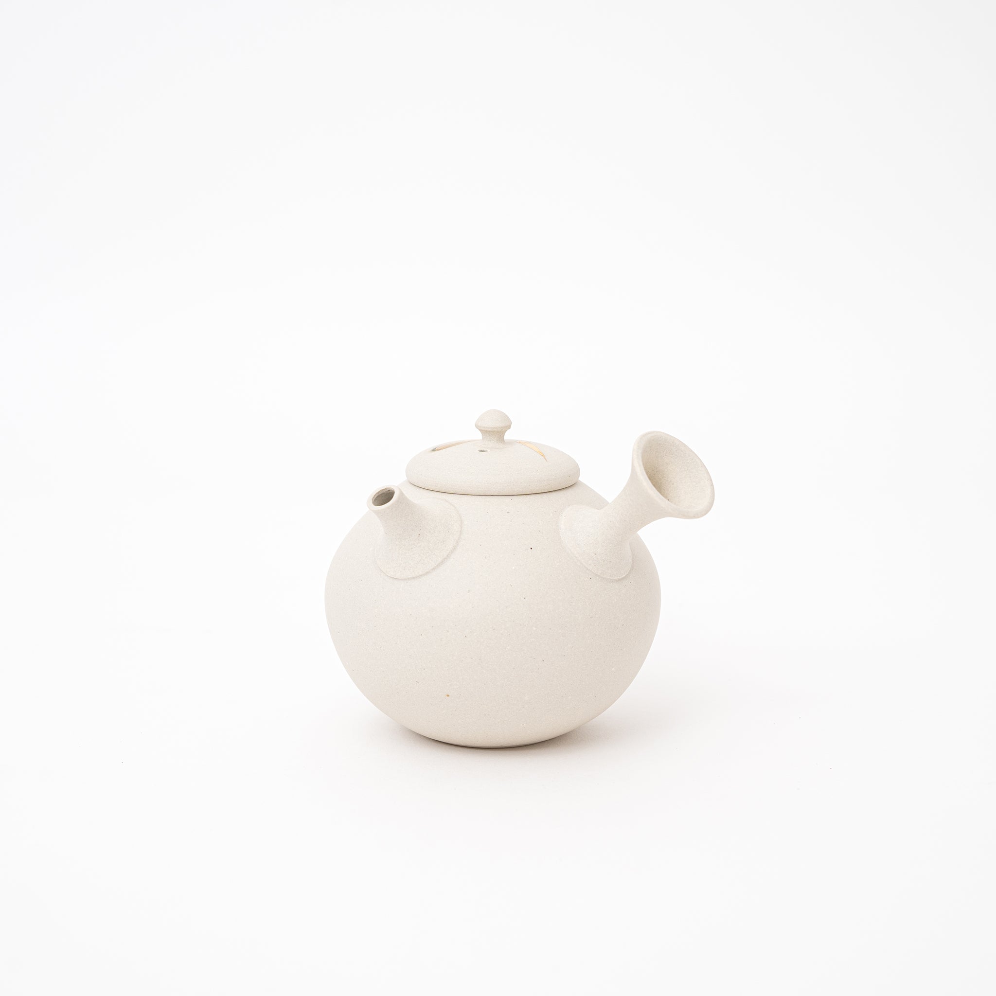 Tsuzuki Yutaka Tokoname Yaki Kyusu Teapot