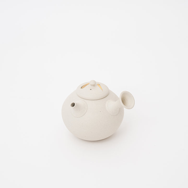 Tokoname Yaki Japanese Kyusu Teapot - 220cc by Yutaka Tsuzuki