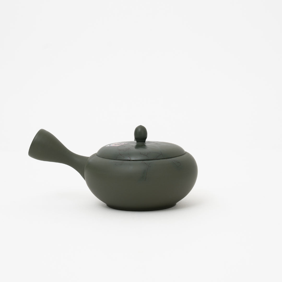 Tokoname Ryokudei Mogage  Kyusu