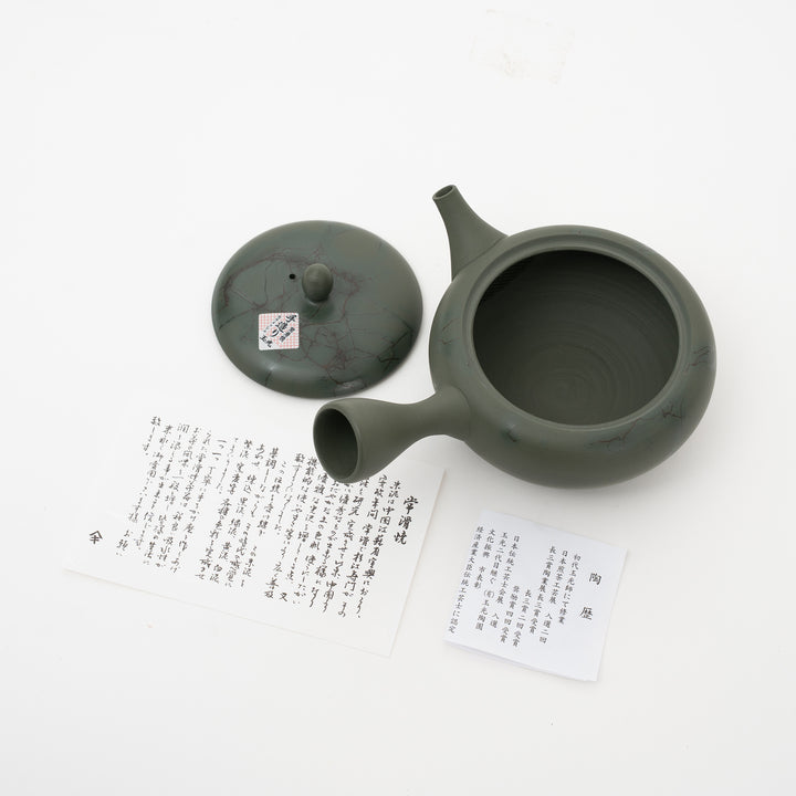 Tokoname Ryokudei Mogage  Kyusu