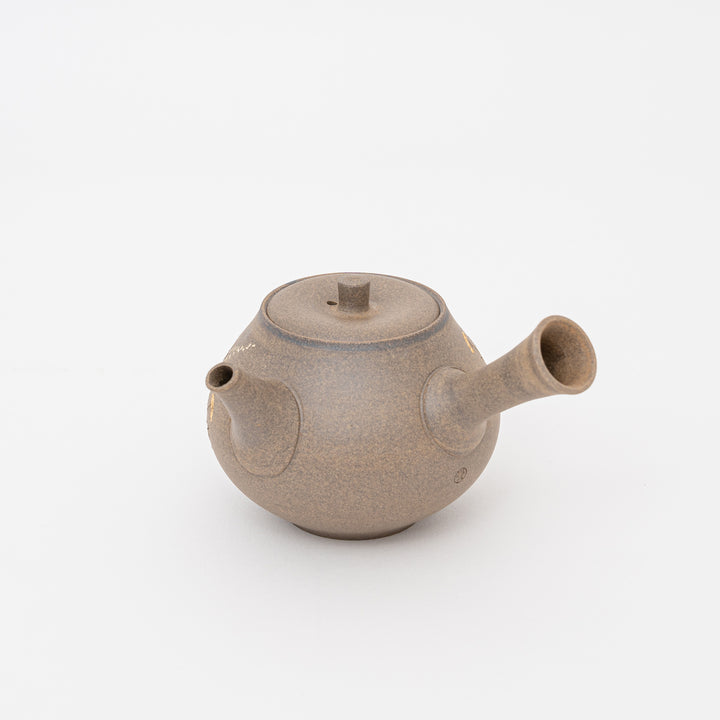 Handmade Masterpiece Tokoname Teapot - 260cc by Aomine