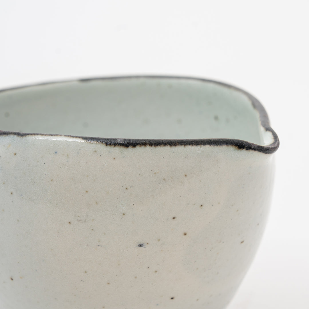 Handcrafted Shigaraki Kohiki Katakuchi and Cups