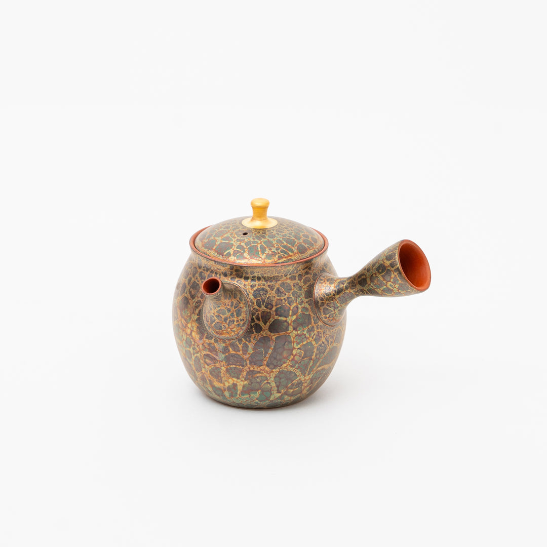 Tokoname Ware Tenmoku Glaze Kyusu by Shoryu (250cc)