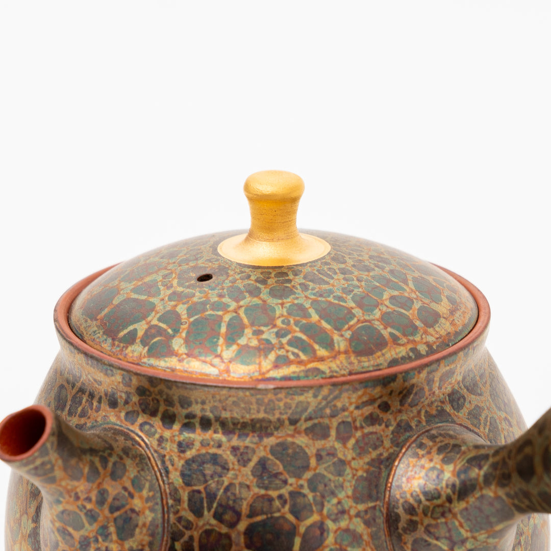 Tokoname Ware Tenmoku Glaze Kyusu by Shoryu (250cc)