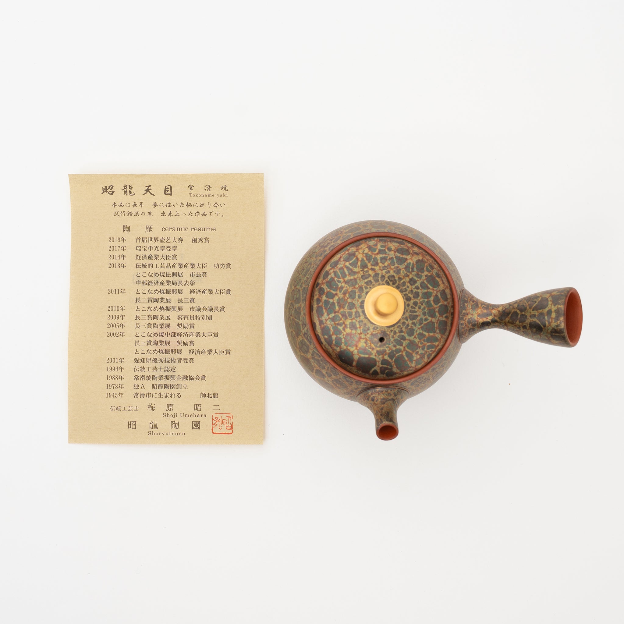Tokoname Ware Kyusu by Shoryu - Thumbnail 5