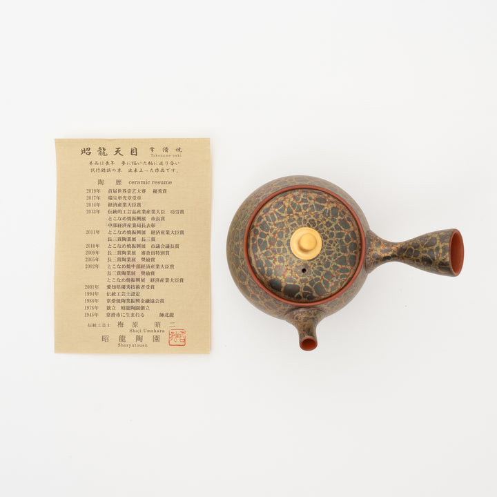 Tokoname Ware Tenmoku Glaze Kyusu by Shoryu (250cc)
