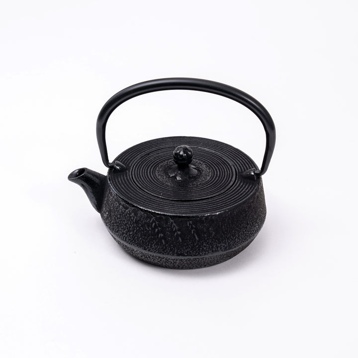 Handcrafted Nanbu Tekki Cast Iron Tea Pot Made in Japn - 300ml