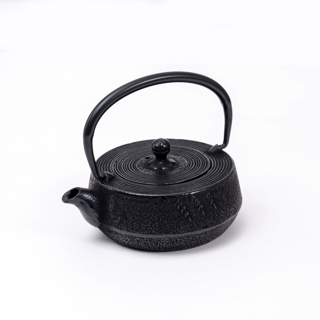 Handcrafted Nanbu Tekki Cast Iron Tea Pot Made in Japn - 300ml