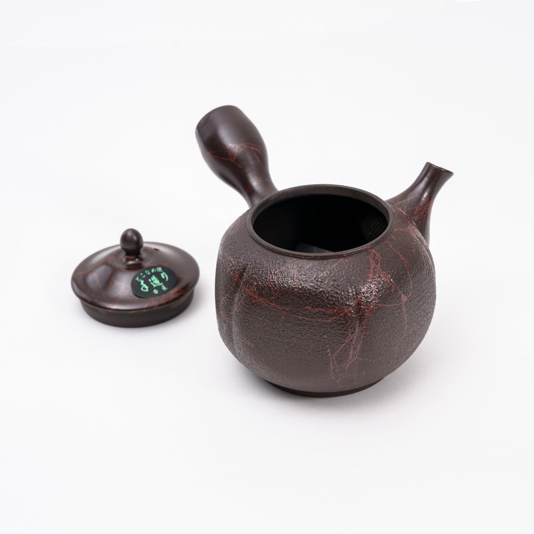 Tokoname Ware Japanese Kyusu - Tadaomi Kato