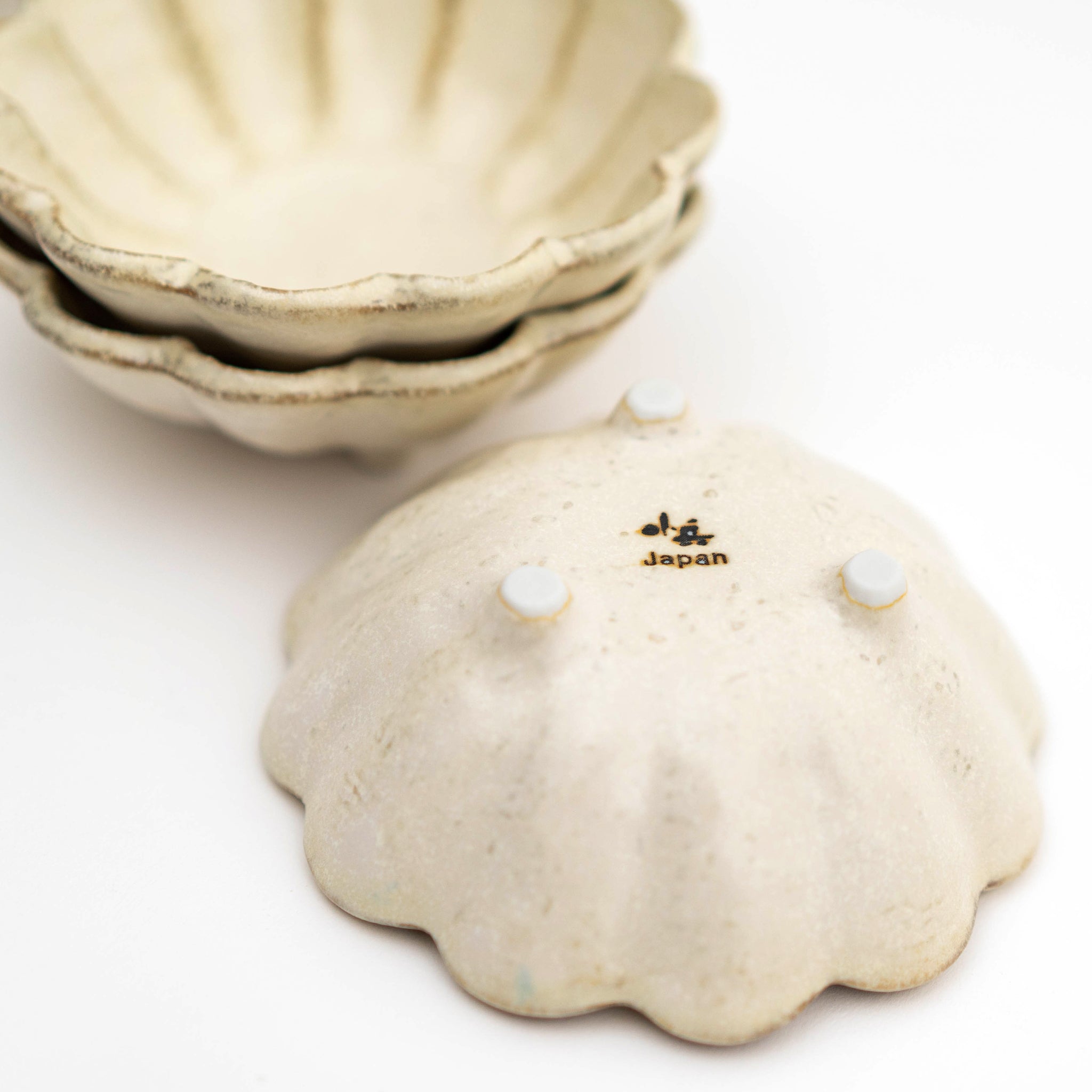 Kaneko Kohyo Rinka Plate – Handmade Japanese Ceramic Dinnerware