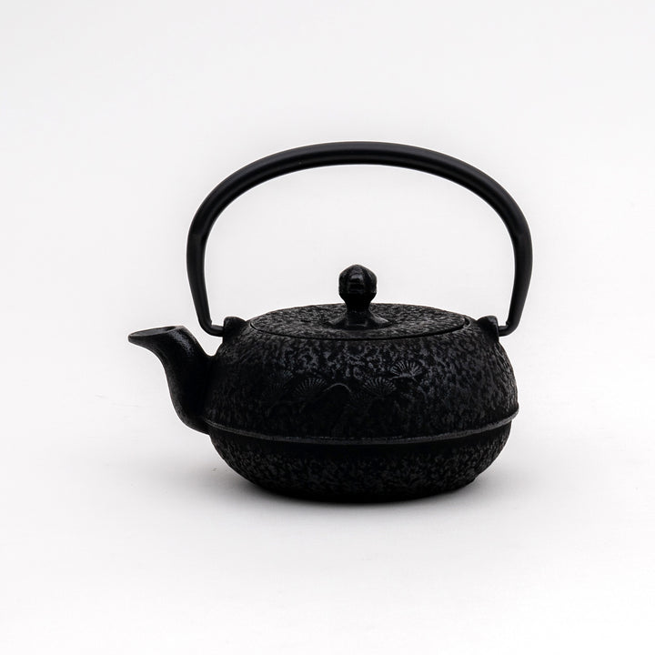 Nanbu Tekki Cast Iron Tea Pot - 300ml