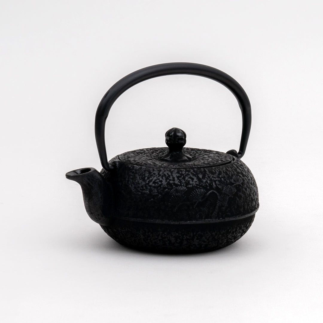 Nanbu Tekki Cast Iron Tea Pot - 300ml