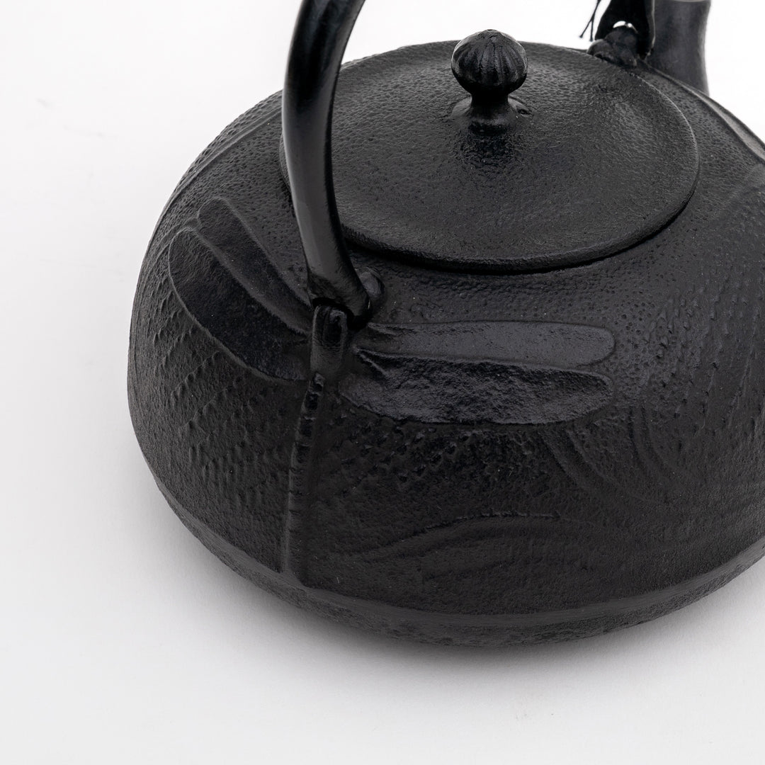 Nambu Tekki Cast Iron Kettle - 1200ml