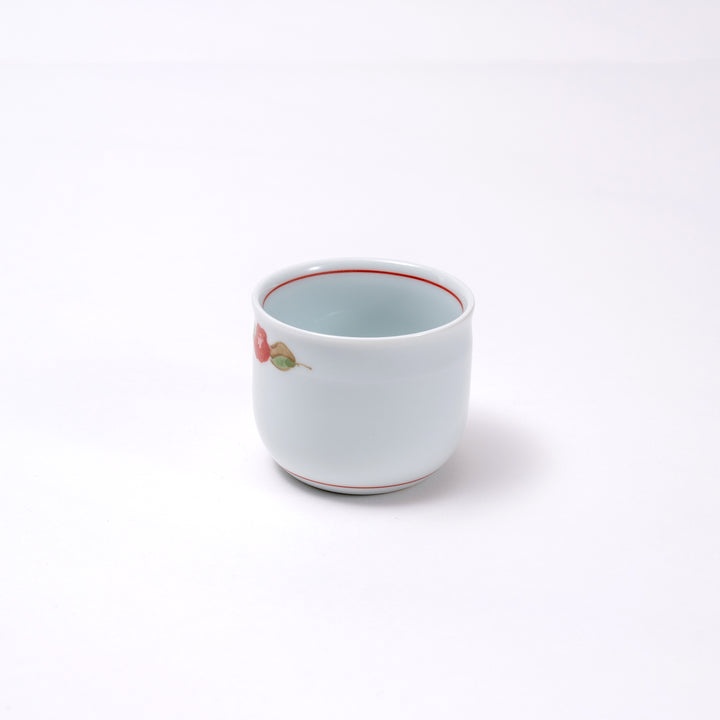 Hand-painted Arita Yaki Floral White Porcelain Teapot/Kyusu - Perfect for Traditional Japanese Tea Ceremony